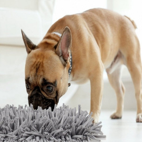 Buy Pets Sniffing Pads for Exhausting Energy | EpicMustHaves