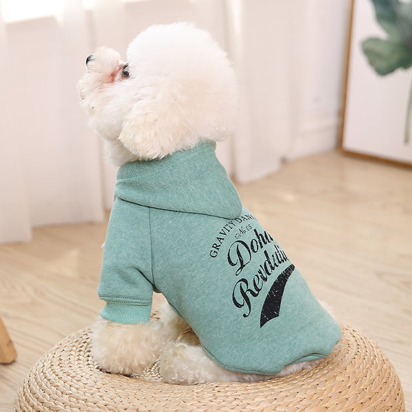 Buy Cozy Cotton Pet Sweaters - Fashionable and Comfortable Clothes for Pets