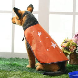 Buy Stylish Clothes for Pets - Keep Your Furry Friend Cozy and Fashionable