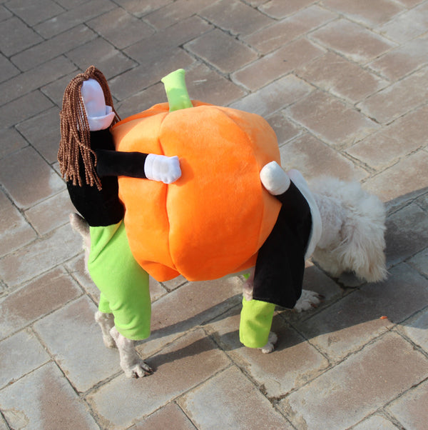 Buy Halloween Pumpkin Dog Clothes - Adorable Velvet Pet Apparel at EpicMustHaves