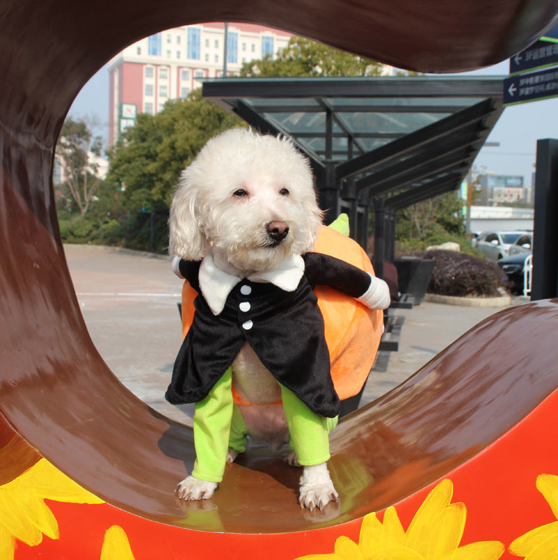 Buy Halloween Pumpkin Dog Clothes - Adorable Velvet Pet Apparel at EpicMustHaves