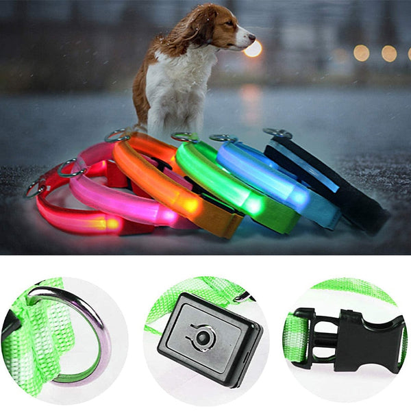 Buy Adjustable LED Pet Collar - Illuminate Your Pet's Nighttime Adventures