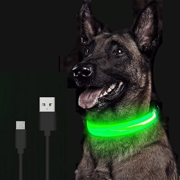 Buy Adjustable LED Pet Collar - Illuminate Your Pet's Nighttime Adventures