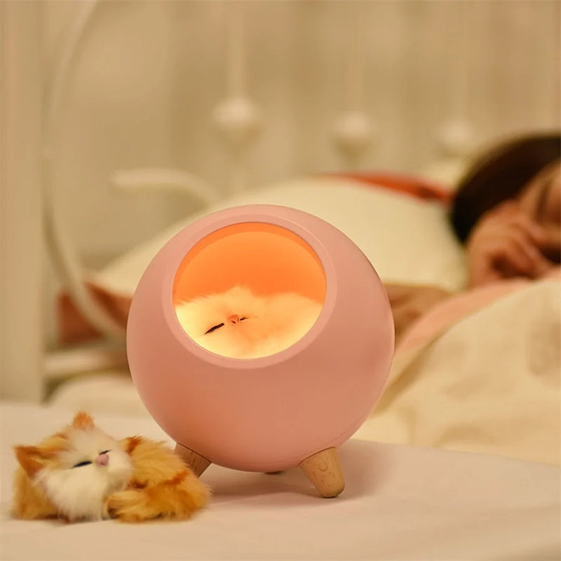 Buy LED Cat Light - EpicMustHaves