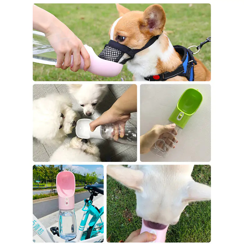 Buy Pet Dog Water Bottle Feeder Online | EpicMustHaves